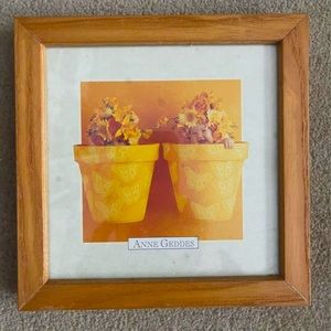 Anne Geddes “Butterfly Pots” Baby Picture